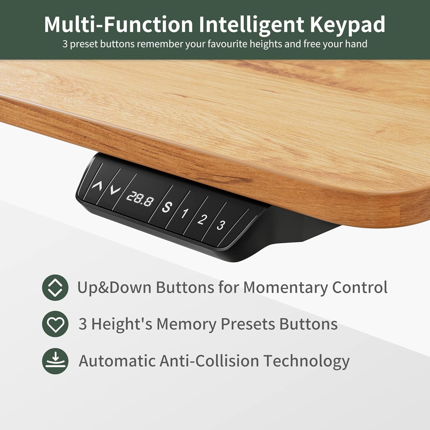 40x24 Inch Electric Height Adjustable Standing Desk
